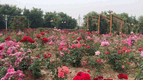 西安马尔代夫沙滩在哪里,西安马尔代夫图片