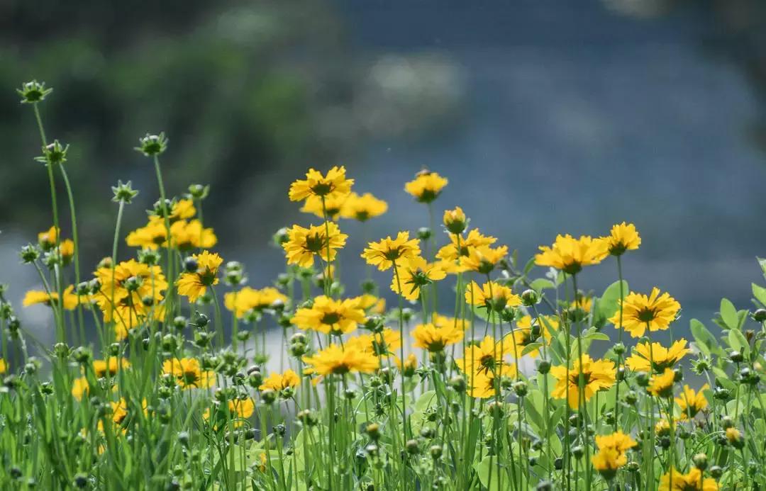 熊继柏纠正对中医的几个错误观念,熊继柏谈中医治疗