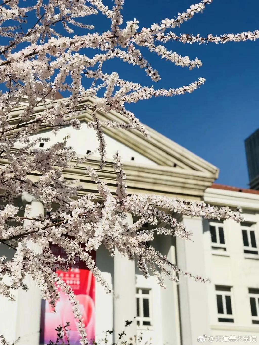 九大美院校园风景,中国九大美院校园风采