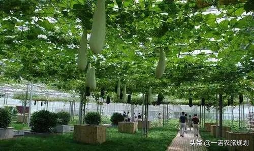 申报生态农业扶持项目标准,农业项目补贴政策申报代理