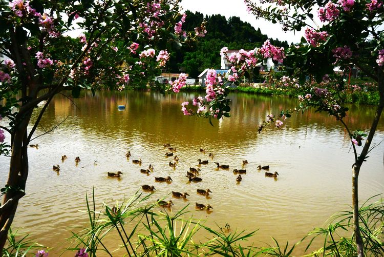 涔愯嚦鑽疯姳鎽勫奖浣滃搧娆ｈ祻,涔愯嚦鍗拌薄鎽勫奖