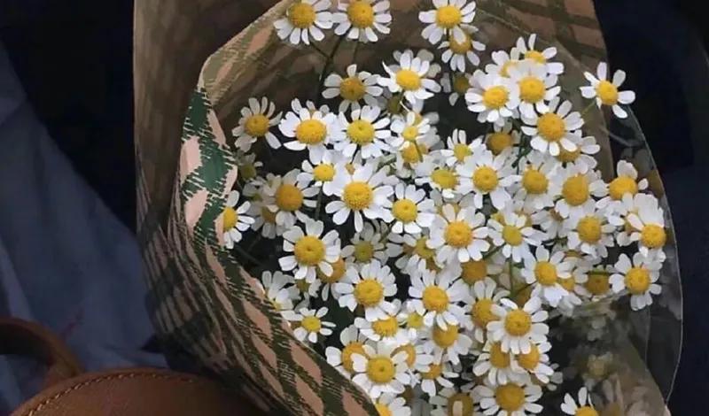 宝宝不爱喝水怎么办才正确,怎样让不爱喝水的娃喜欢上喝水