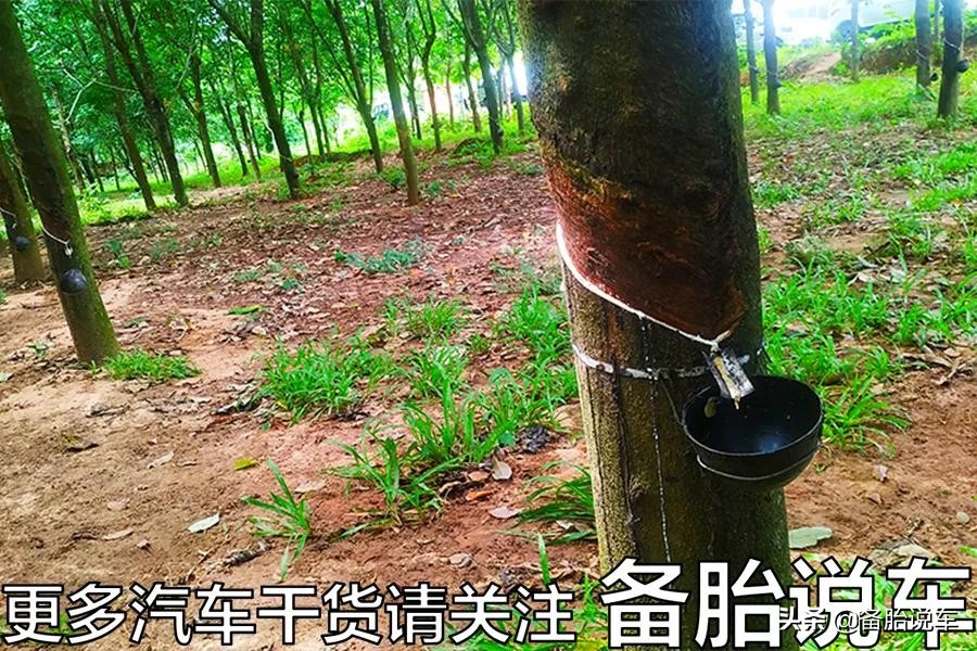 18570r14轮胎和18565r15轮胎区别,国产轮胎真的不如外国品牌吗