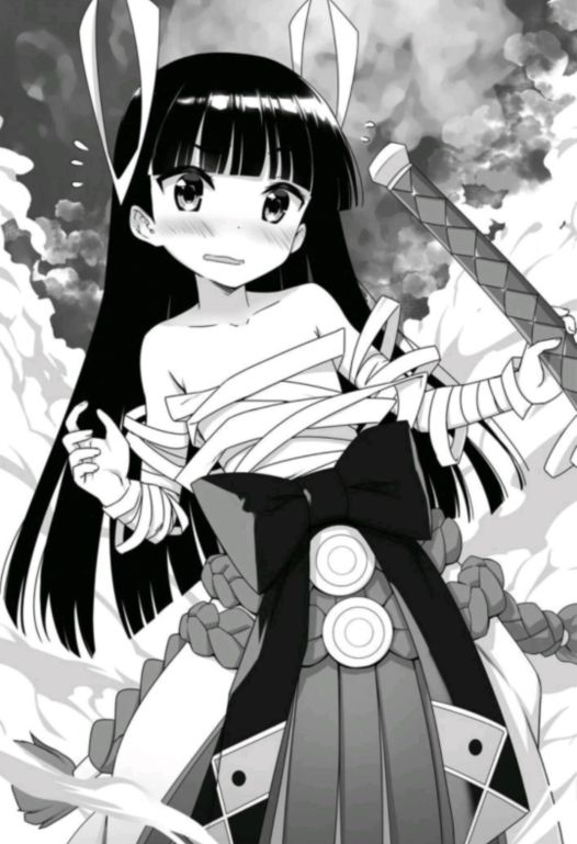 盾娘出自哪部小说,盾娘小说出到第几卷了