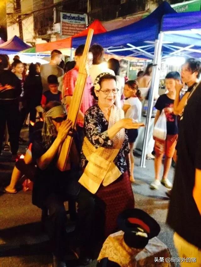 泰北玫瑰的英文,泰北玫瑰图片