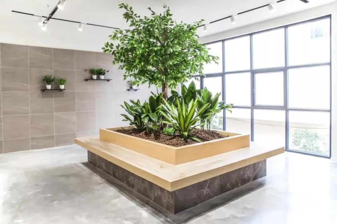 这个陶瓷网红展厅，凭颜值吸引了芒果TV来取景拍摄