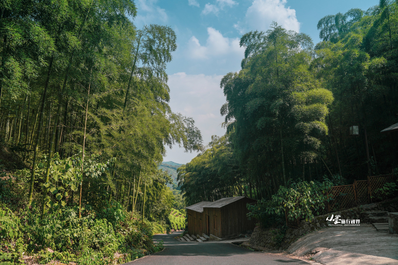 最接地气的大自然度假村,安吉旅游度假村推荐