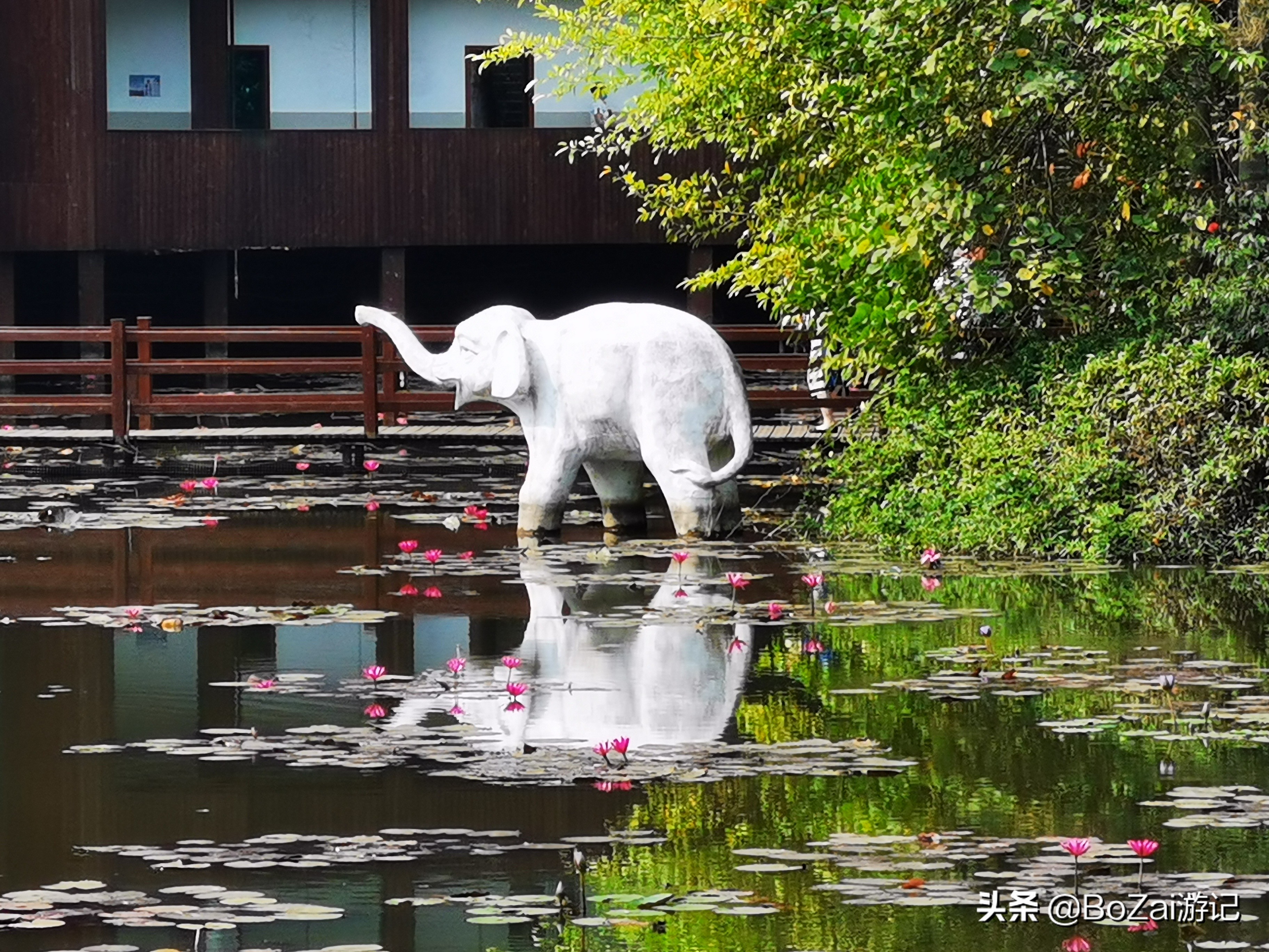 云南西双版纳到文山途经哪些景点,西双版纳适合6-12岁儿童的景点