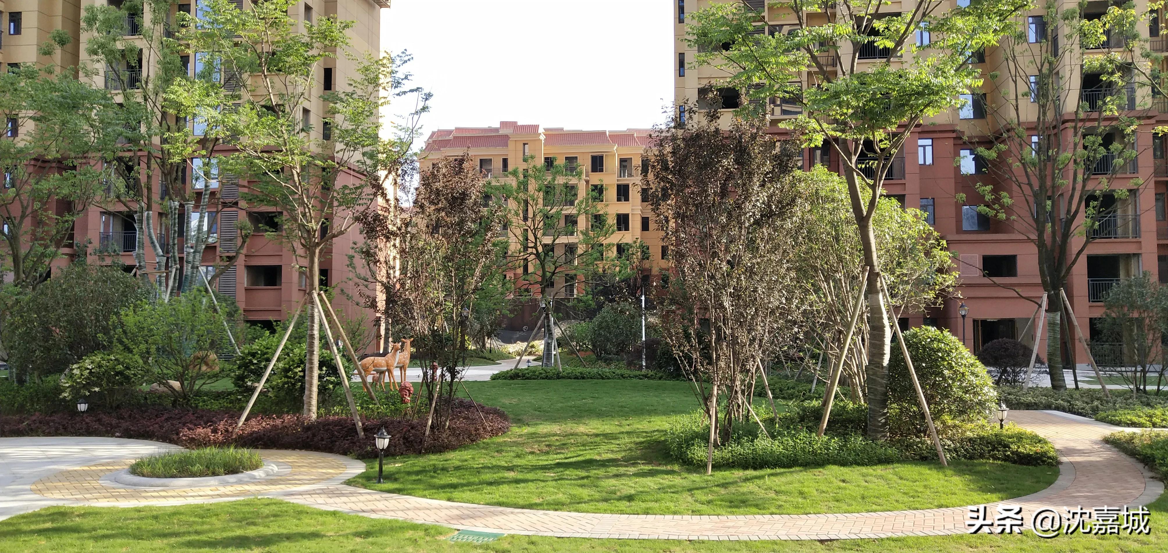 岳阳富兴御城最新消息,岳阳富兴御城洋房户型图