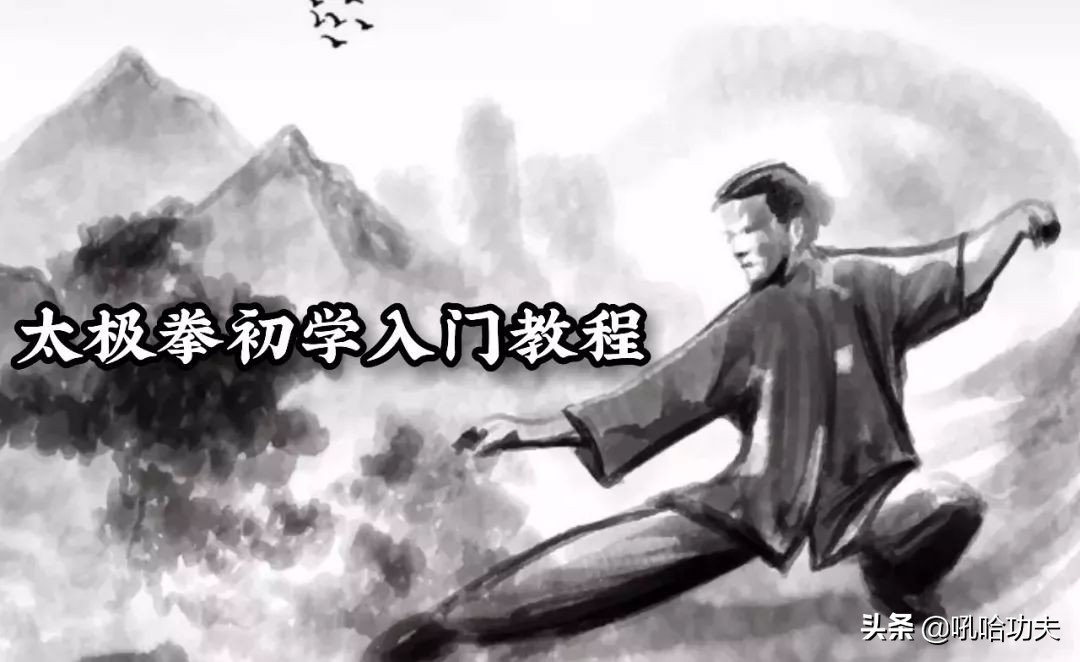 传统太极拳入门,传统武术之太极拳五大流派