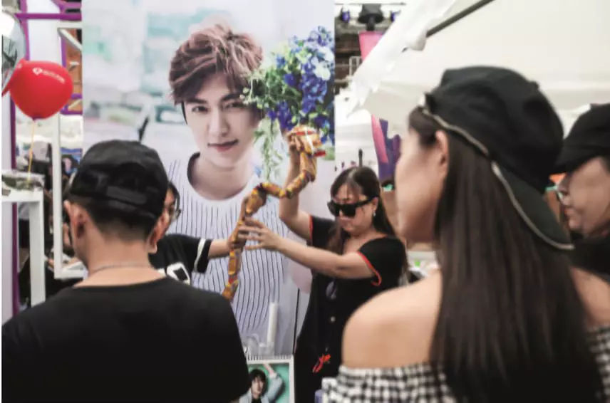 追爱豆的成员介绍,追韩国爱豆必备