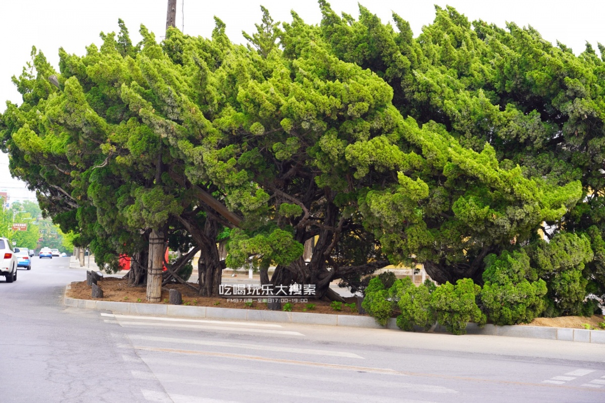 遇上浓浓的大连海蛎子味,青岛海蛎子旅游攻略