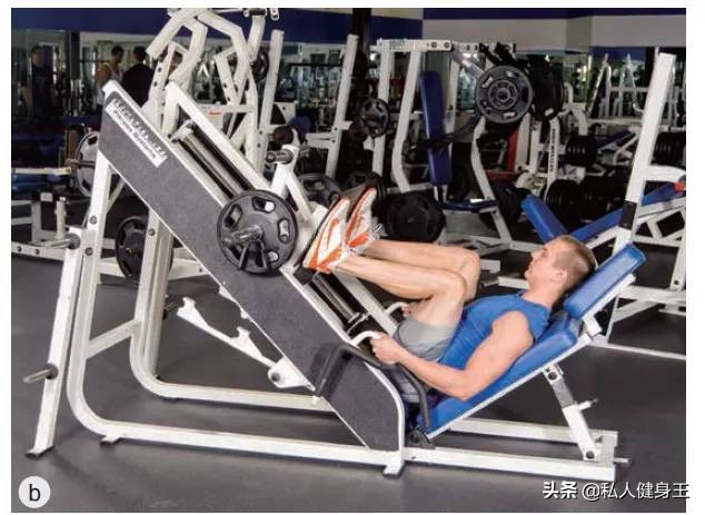 哑铃训练腿部肌肉的动作,不伤膝盖锻炼腿部肌肉动作