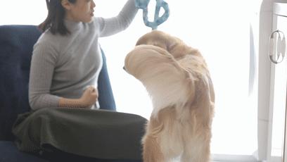 39平loft改两居,小户型两居改3居