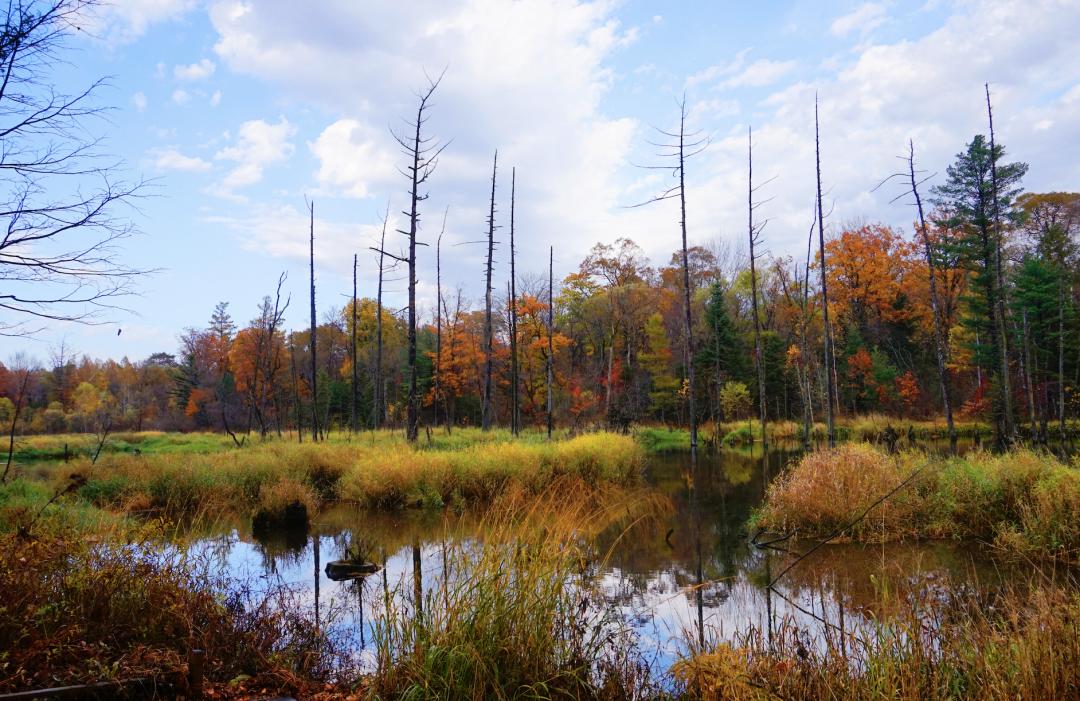 全国旅游公司有多少家,全国旅游产业集团20强