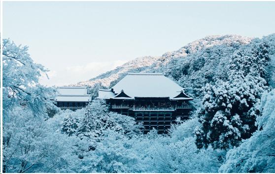来到日本不能错过章鱼小丸子,去京都不可错过的和服体验