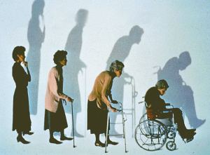 弯曲的黄瓜,弯曲的黄瓜怎么画