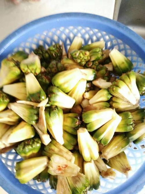 菠萝和哪些吃会中毒,和菠萝很相似的水果但是不能吃