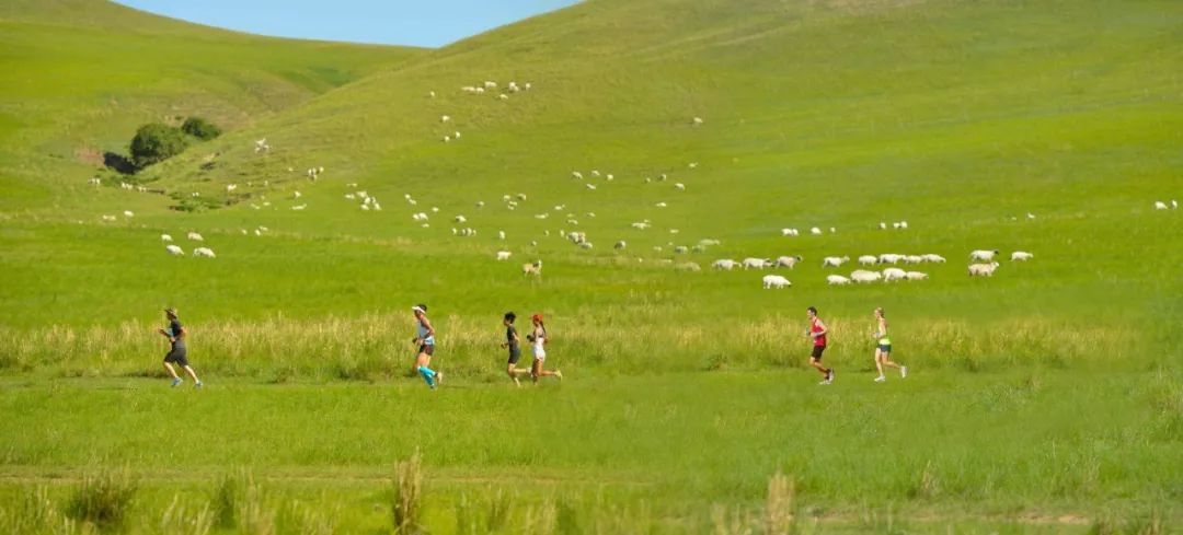 7个月攀登14座高峰,七个月攀登8000米