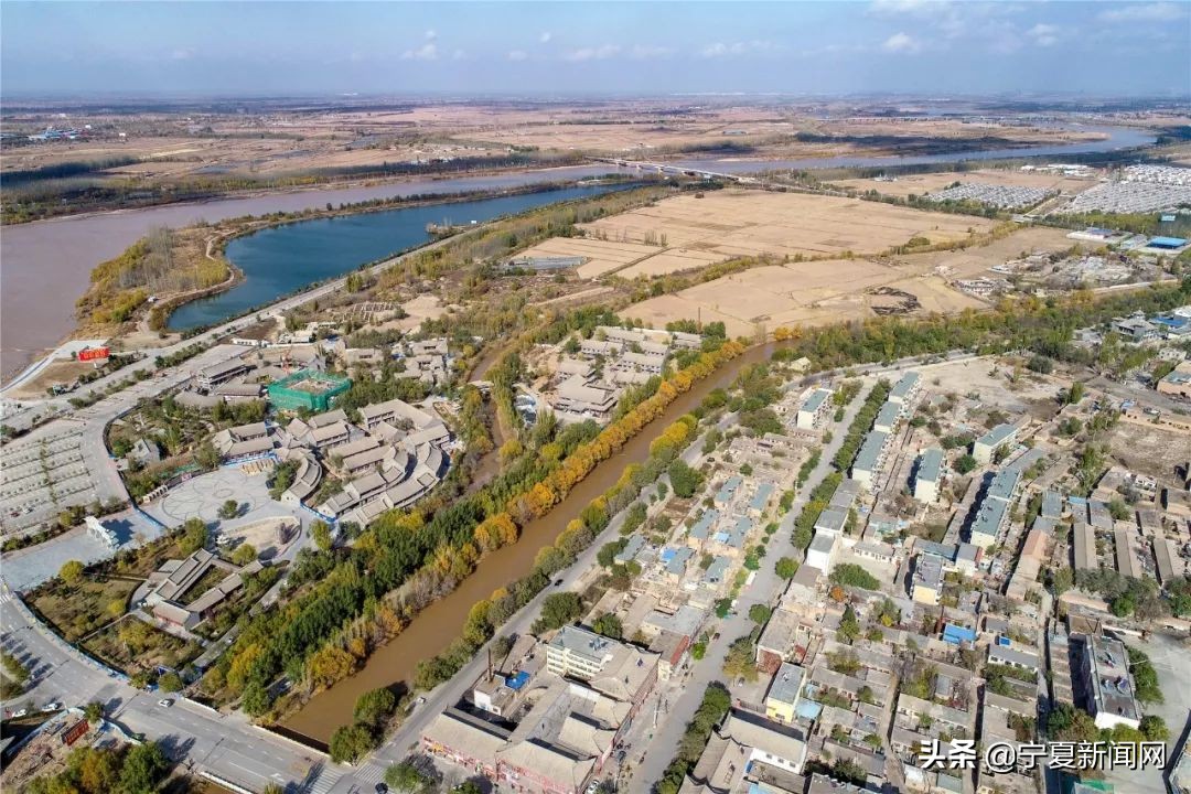 青铜峡鸟岛介绍,青铜峡鸟岛自然保护区能进吗