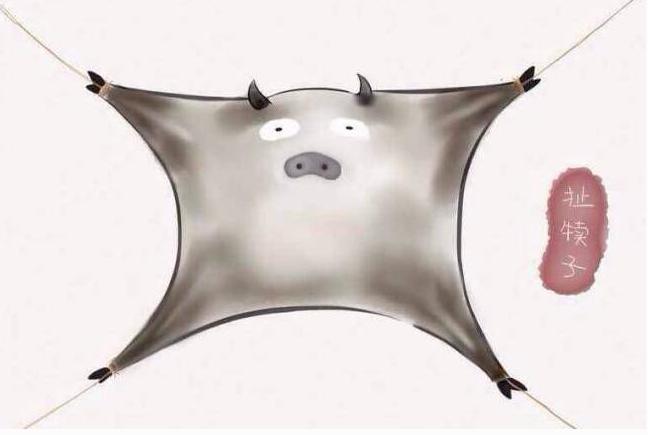 东北四大神兽滚犊子是啥？