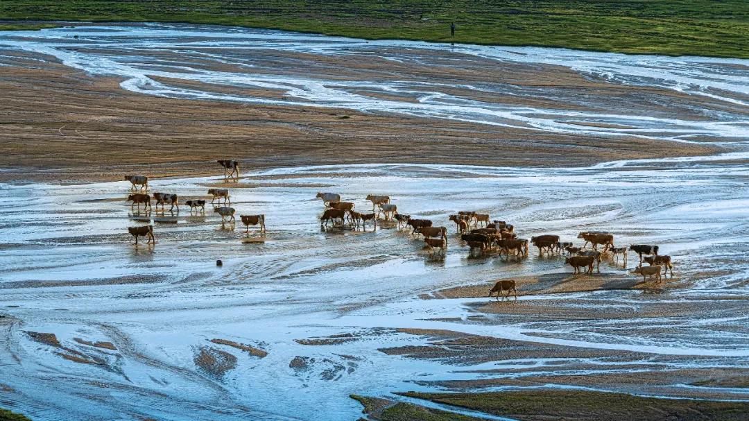 内蒙古赤峰属于东北吗,赤峰东北还是华北