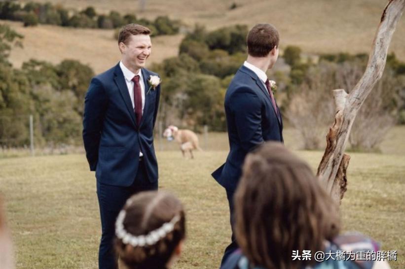 狗狗在主人婚礼上“拉粑粑”，非但没把事搞砸，还让氛围更温馨了