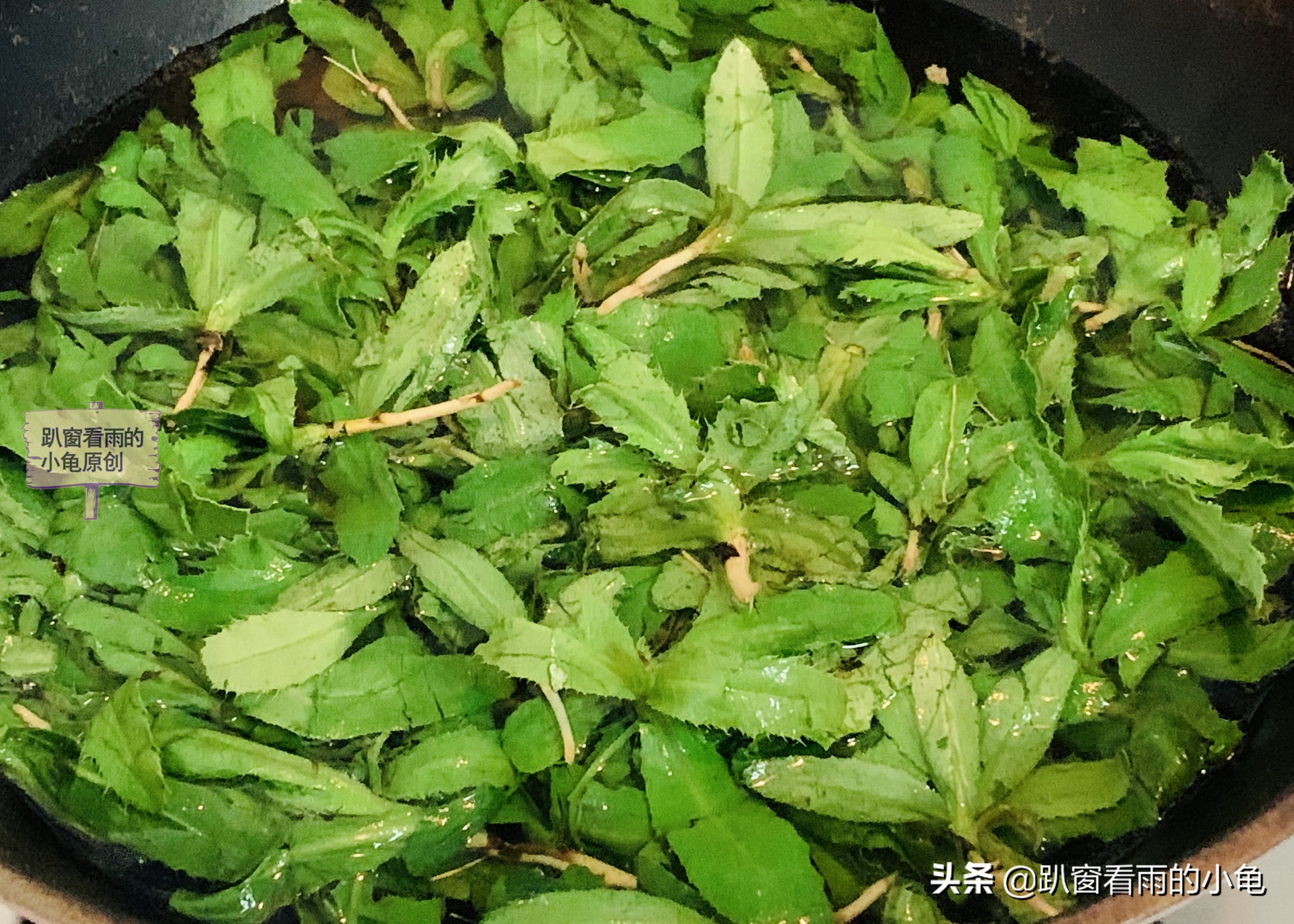 不是野生的荠菜,不是荠菜也不是雪里红的菜叫什么