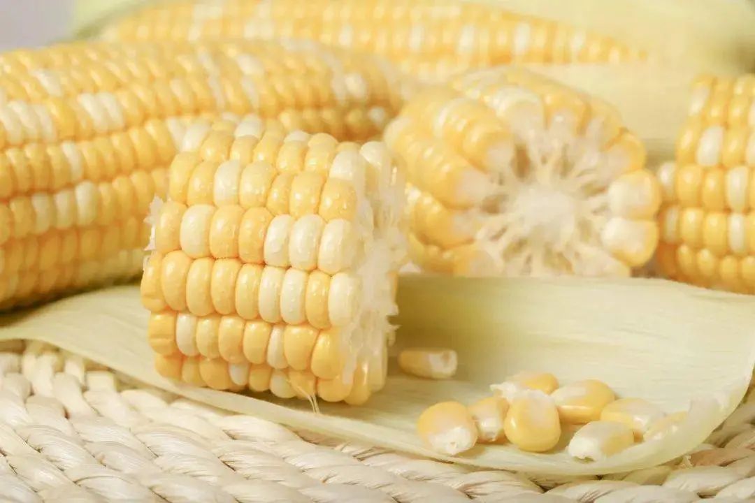 关于五谷杂粮你不知道的事情,常说的五谷杂粮都是什么呀