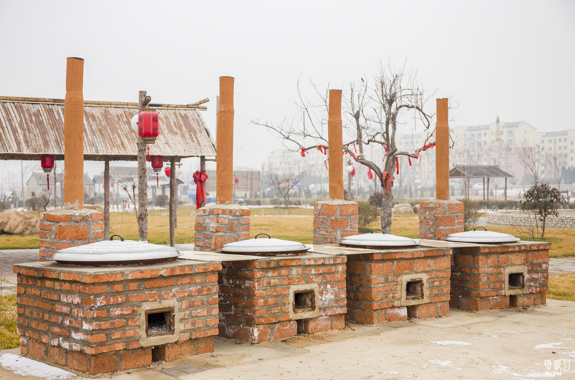 牡蛎生命意义,野生牡蛎的价值