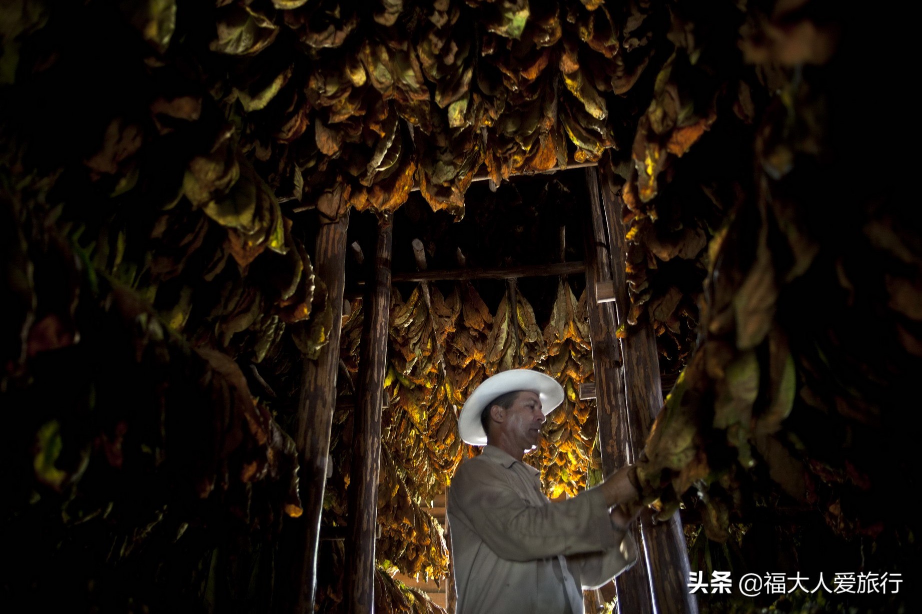 古巴最贵雪茄品牌价格表,最贵的古巴雪茄多少钱一支