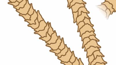 被洗缩水的羊毛衫还有救么,100%绵羊毛羊毛衫怎么清洗防缩水