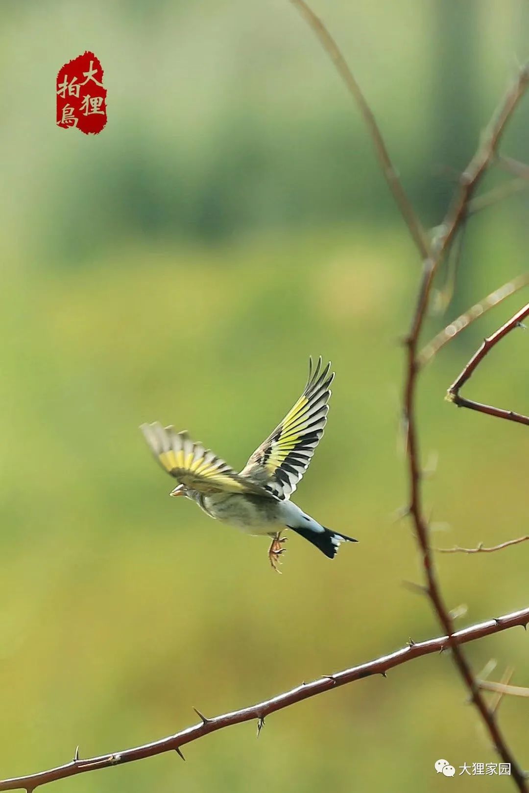 带娃的日子有滋有味,为什么别人的日子过得有滋有味儿