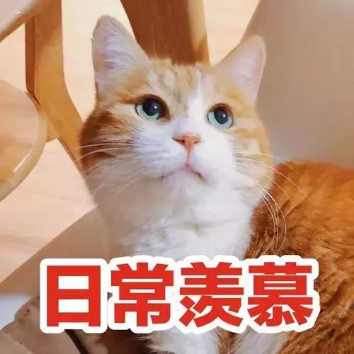 温州拆迁计划最新消息,2022年温州迎来拆迁潮吗