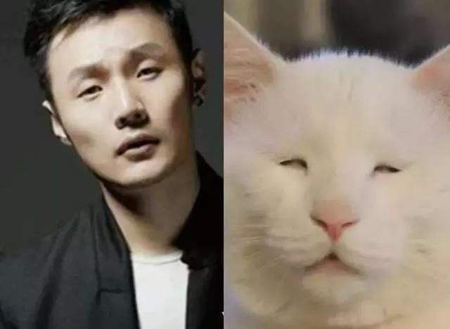 李荣浩怼小区物业完整版,李荣浩怼物业完整视频