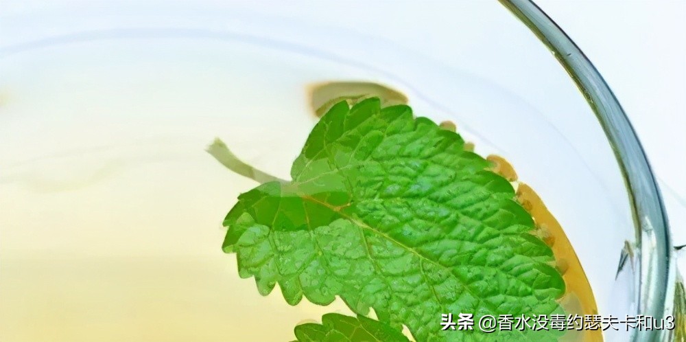 夏日小*香众**水推荐，清爽不易撞向