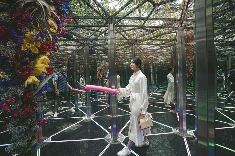 一人一猫环游,一人一猫旅行