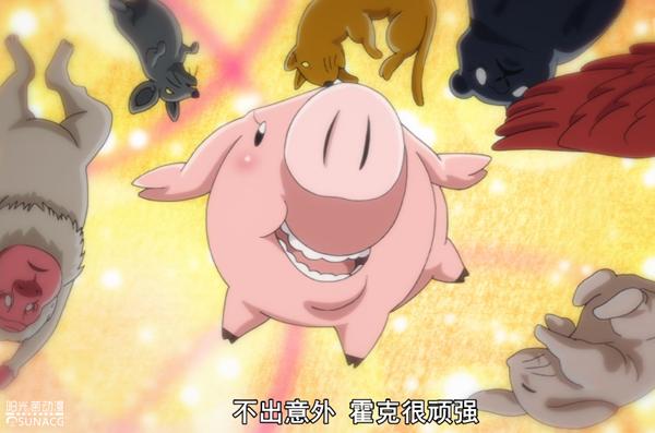 愤怒的审判：萌猪霍克身世曝光，从吉祥物一跃成为地表最强生物