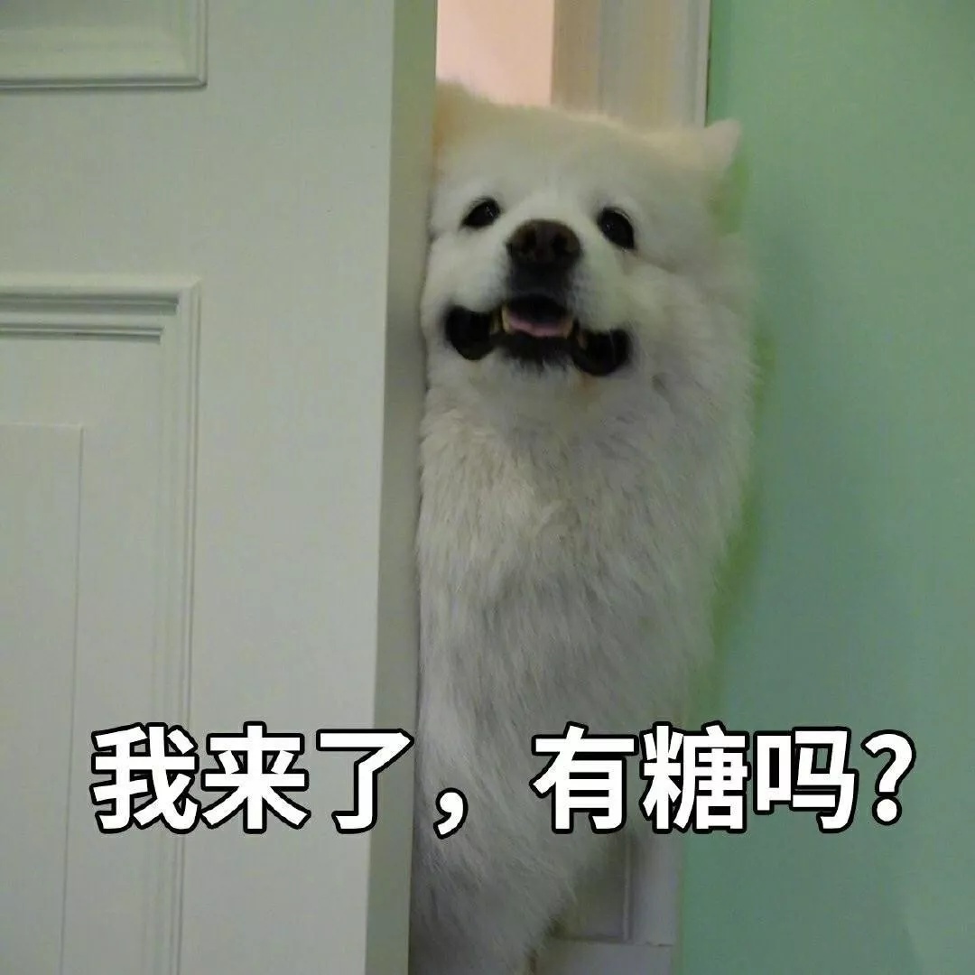 捡手机搞笑幽默笑话,用手机拍照幽默笑话