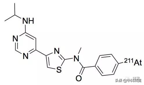 针对恶性黑色素瘤的靶向同位素治疗候选药物211At-AITM