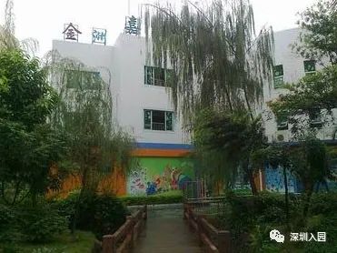 深圳公办幼儿园上不了怎么办,深圳幼儿园停止办学吗