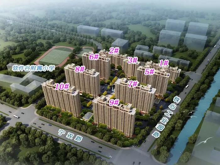 看花眼!2020南京迎来“上市潮”,如何选?