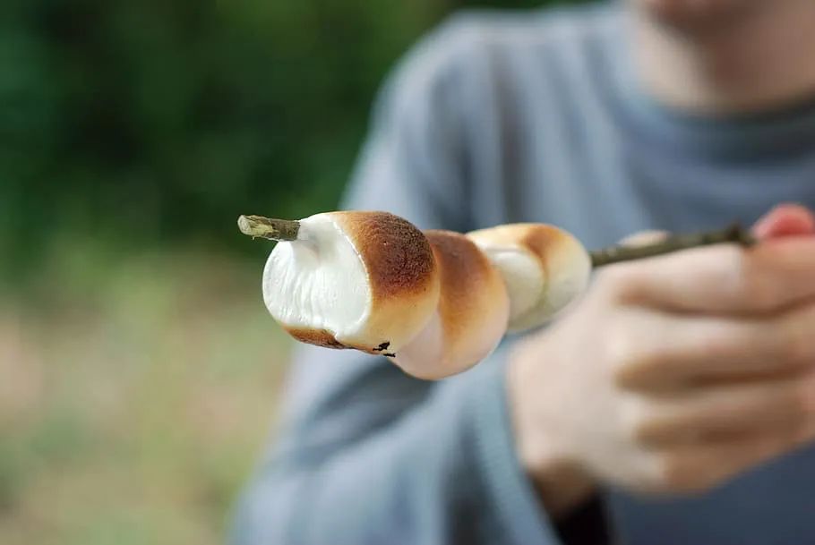 露营吃什么!10款经典户外美食,哪个才是你的菜?