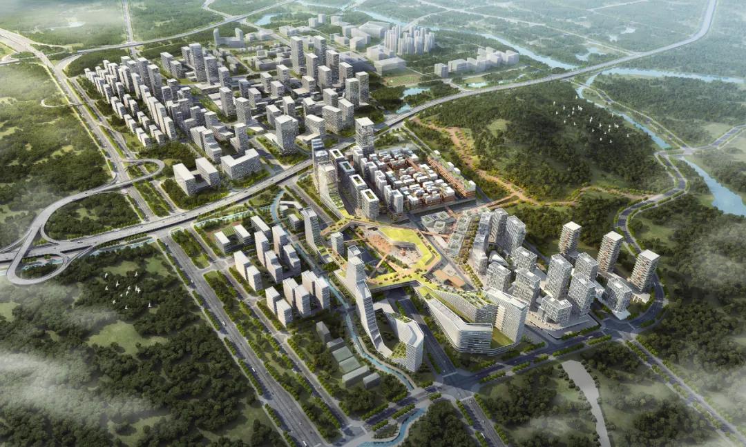 勇当“冲锋舟”系列访谈④丨创新石井：奋力打造高质量可持续发展的湾区重镇