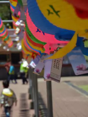 韩国旅游攻略5-6月天气,去韩国首尔旅游攻略最新版