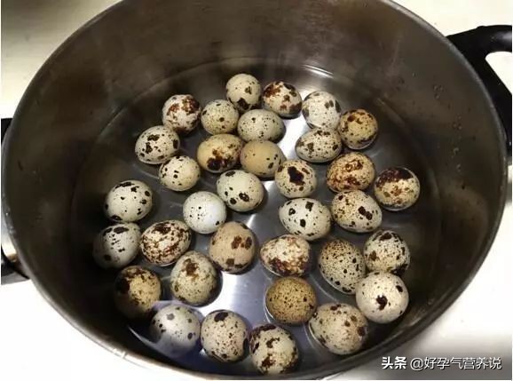 卵中佳品鹌鹑蛋,鹌鹑蛋卵的内部结构