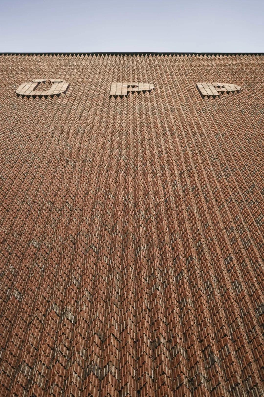 鸟巢博物馆的建造,鸟巢的设计