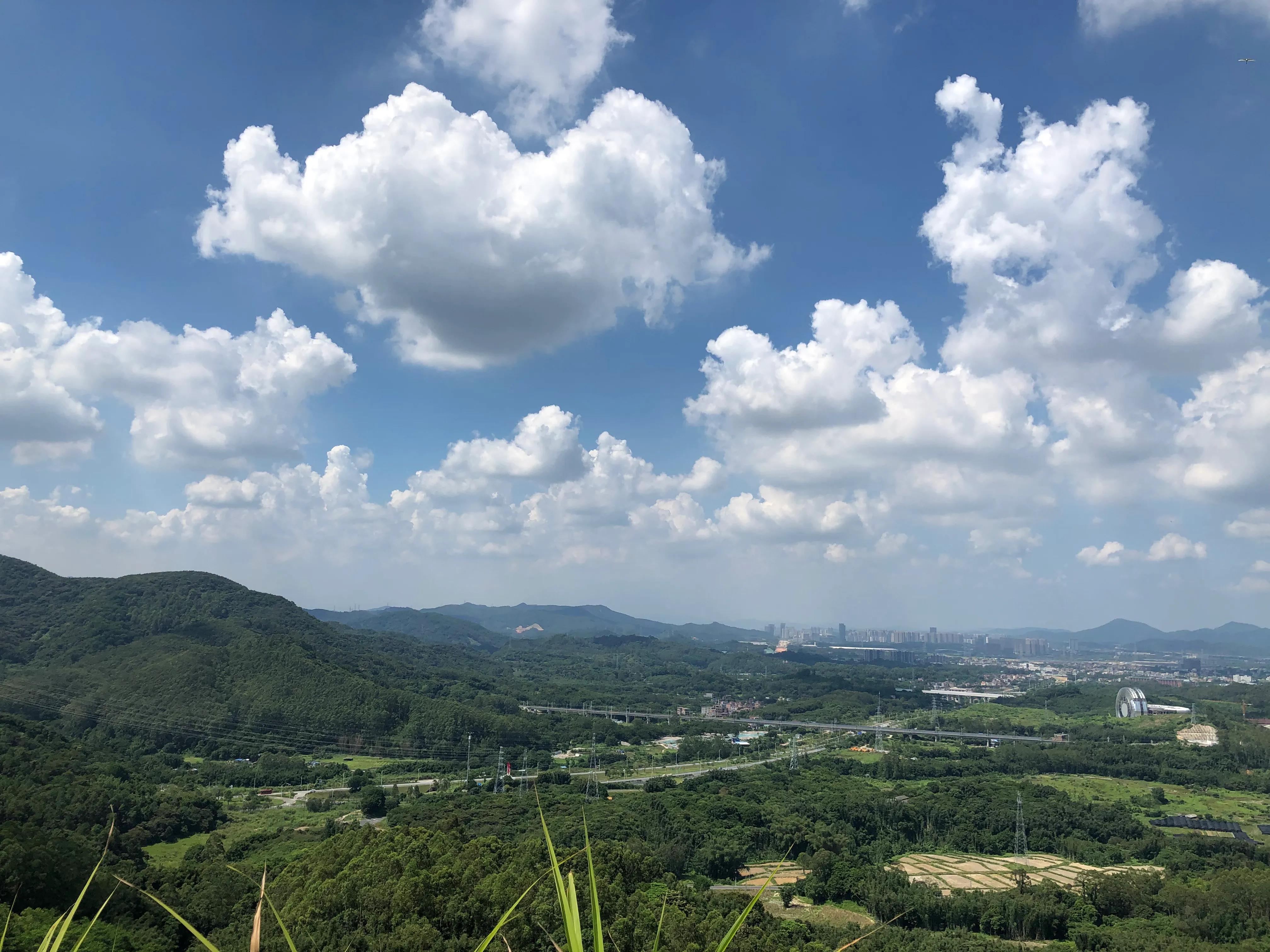 黄埔石牙顶天坑攻略,广州黄埔石牙顶天坑景色