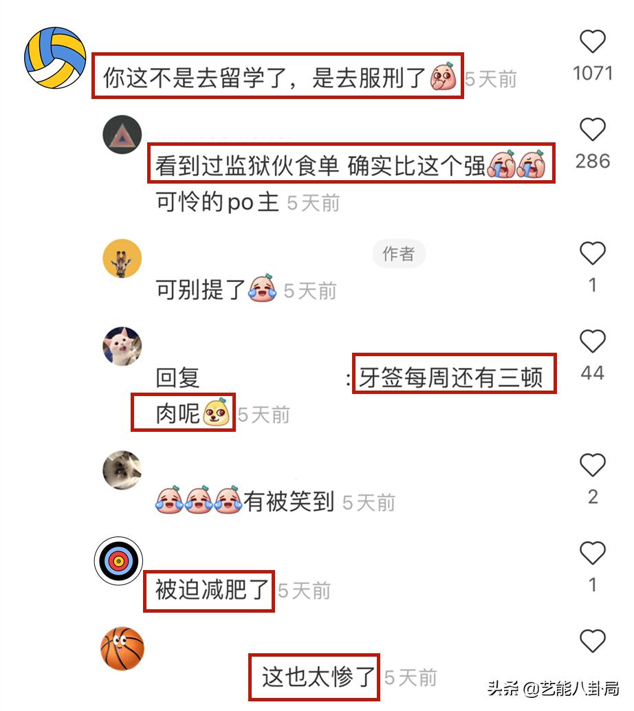 韩国隔离餐的食物,韩国隔离伙食饭菜不够能加不