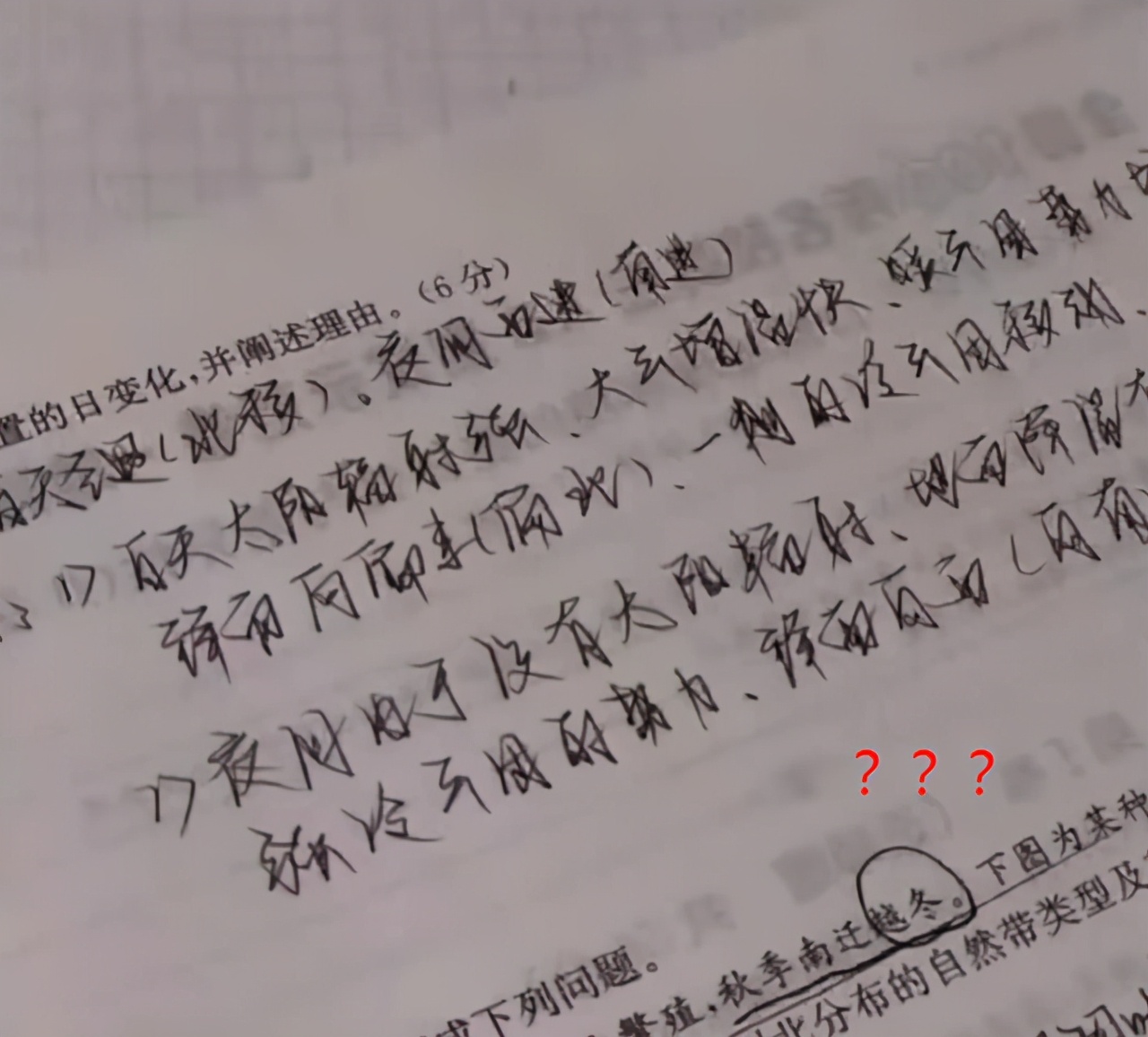 小学生可以写的奶酪字,怎么写奶酪字体小学生